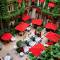 Отель Plaza Athenee