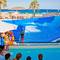 Отель Sol Wave House Mallorca
