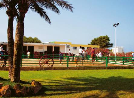 Отель Sun Club El Dorado