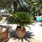 Отель Hotel Pyrgos Boutique & Suites