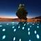 Отель Mykonos Grand Hotel & Resort