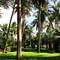 Отель THE BEACH RESORT