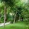 Отель Cham Villas Resort