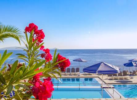 Отель Peninsula Resort & Spa