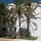 Отель Hotel Calimera Fido Gardens