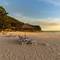 Отель Le Meridien Phuket Beach Resort