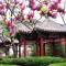 Отель Xiyuan