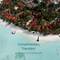 Отель Kurumba Maldives
