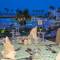 Отель Sunrise Alma Bay Resort