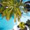 Отель Dreams Jardin Tropical Resort & Spa