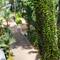 Отель Aonang Buri Resort