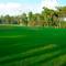 Отель Sueno Hotels Golf Belek