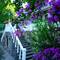 Отель Senza Garden Holiday Club