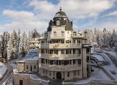Отель Festa Winter Palace