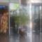 Отель Tamani Marina Hotel & Apartments