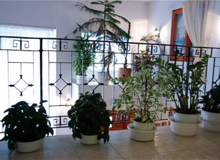 Отель Central Green Hotel