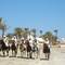 Отель El Mouradi Djerba Menzel