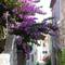 Отель Apartments and Rooms Bonkan Hvar 