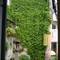 Отель Rooms and Apartments Djanovic 