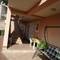 Отель Apartments & Rooms Sibenik 