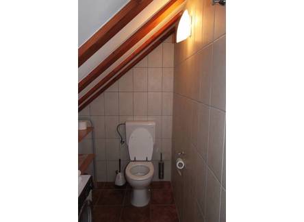 Отель Venus Apartments and Rooms 