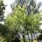 Отель Guest Accommodation Bakic 