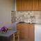 Отель Apartments Paloma Blanca 