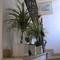 Отель Apartments Paloma Blanca 