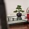 Отель Apartments Domus Sidro 