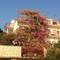 Отель Apartments Ana Trogir 