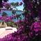 Отель Apartments Ana Trogir 