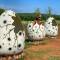Отель Mobile Homes San Polo
