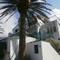 Отель Apartments Tri Palme 