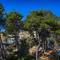 Отель Valamar Koralj Hotel 