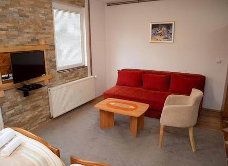 Отель Apartments Radovic 