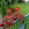 Отель Apartments Radovic 