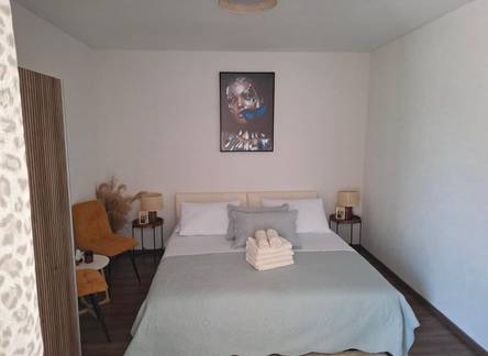 Отель Apartments Buzolic
