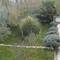 Отель Apartments Bernic 