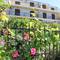 Отель Apartments Slaven 