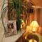 Отель Hotel Vila Sikaa