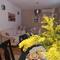 Отель Apartments Ivona