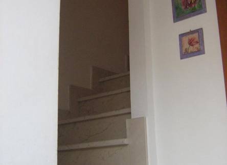 Отель Apartments Donda 