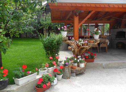 Отель Vien Guest House