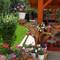 Отель Vien Guest House