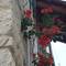 Отель Apartments Sunce 