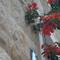 Отель Apartments Sunce 