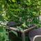 Отель Apartmani Orlic 
