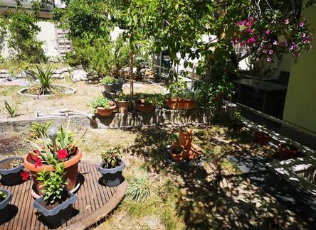 Отель Apartments Ella 
