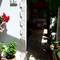 Отель Apartmani Mare 