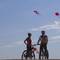 Отель Camping La Pineda de Salou 